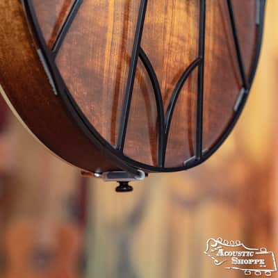 Tone-Gard Mandolin - Vintage image 6