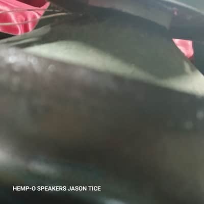 12" ALNICO SPEAKER HEMP FIBER CONE G3 HEMPOPOTAMUS W MAGNET 2" COIL ! FAT THICK MEATY MAGNETICALLY SATURATED TONALITY 8 OHM 50 WATT image 9