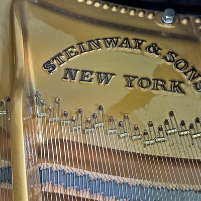 Steinway & Sons Art-Case Model C 1877 - Ebony Satin image 6