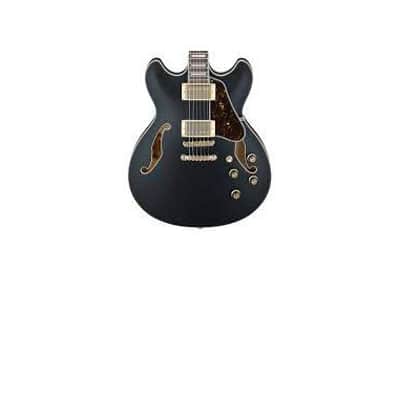 Ibanez AS73GBKF image 3