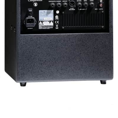 Tanglewood TW6 Acoustic Amplifier image 2