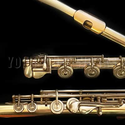 William S. Haynes 14k White Gold Flute #53151 with Silver Keys image 6