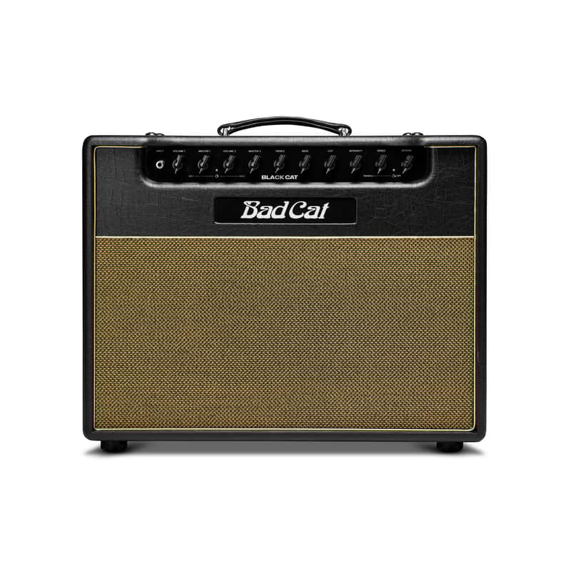 Bad Cat Black Cat Handwired Series 2-Channel 20-Watt 1x12