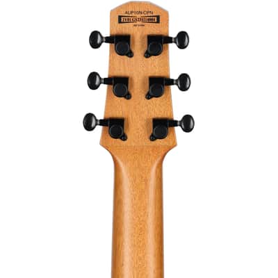 Ibanez AUP10N Tenor Ukulele (with Gig Bag), Open Pore Natural image 3