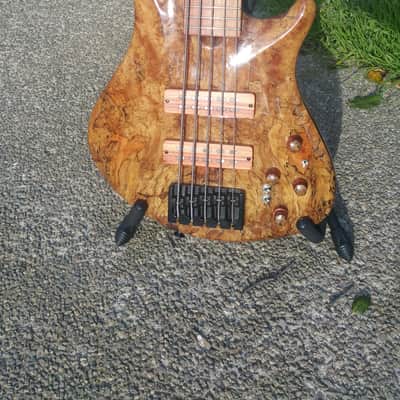 Roscoe SKB 3005 Custom 5 string bass guitar image 2