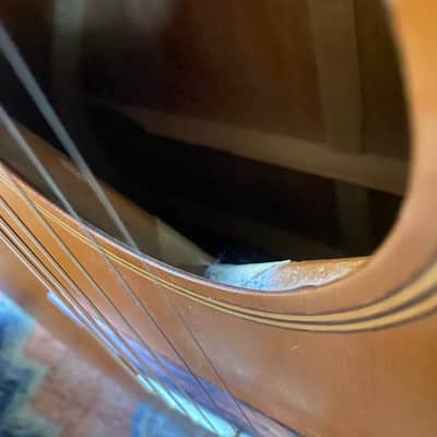 acoustic guitar (no name) image 13