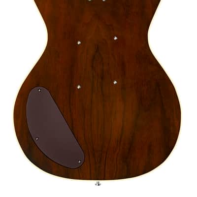 Danelectro 59 Divine, Walnut, New, image 4