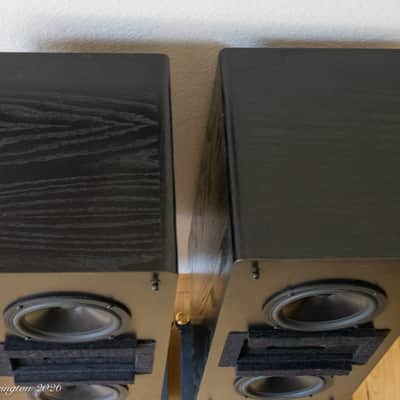 Dunlavy Audio Labs SM-1 Speakers + Stands image 7