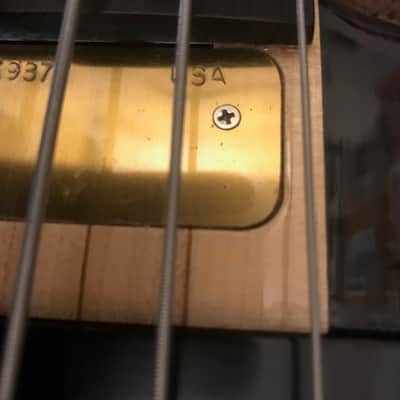 Immagine Alembic Essence 5 string - 4