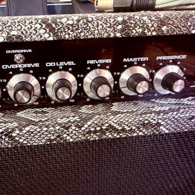 SL Amplification New Drive Reverb 50 Watts Combo 1x12” Custom Order (Tube Buffered fx loop) - Snake Skin Custom Tolex image 20