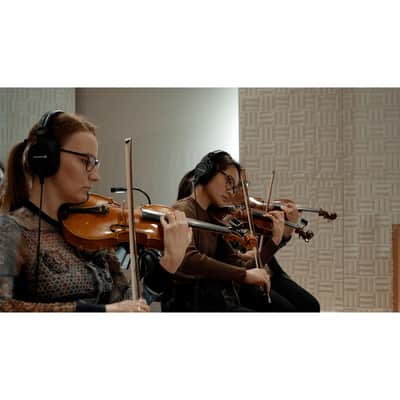 Vienna Symphonic Library Synchron Duality Strings Bundle - Standard Library image 5