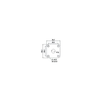Flat Chrome Input Plate LesPaul Gibson/Epiphone style, Diam 10mm image 2