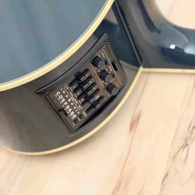 Takamine LTD2021 (Blue Rose) - Charcoal Blue Gradation image 15