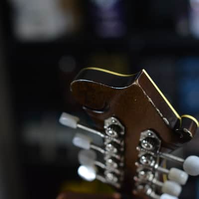 Lebeda F4 Standard Mandolin 2004 image 12