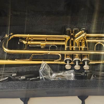 Mendini By Cecilio Bb Trumpet - Brass, Gold Trumpets w/Instrument Case, Cloth, Oil image 12