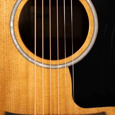 Taylor 210ce Plus Dreadnought Acoustic/Electric Guitar with Aerocase image 11