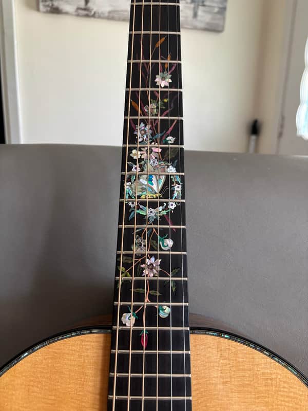 Kevin Ryan Nightingale Soloist 2019 - Larry Robinson Inlay artwork image 1