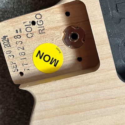 Fender American Professional II Telecaster guitar body image 2
