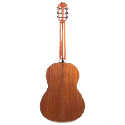 Cordoba C9 Parlor Acoustic Guitar w/Polyfoam Case image 5