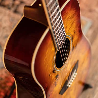 Washburn DFBDA Deep Forest Burl Collection Dreadnought Acoustic Guitar-Amber Fade Gloss image 11