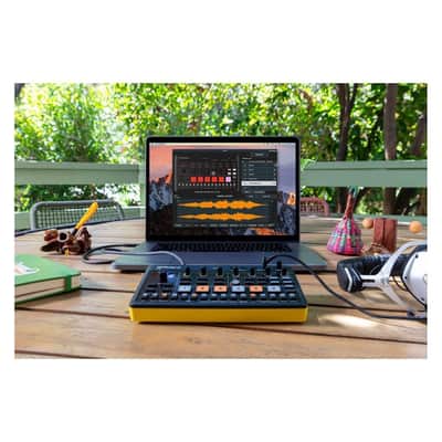 Roland AIRA P-6 Compact Creative Sampler with Onboard Mic, Analog Inputs and Step Sampling for Music Creators image 5
