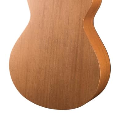 Breedlove USA Concerto Cinnamon Burst E Sitka Spruce - Mahogany (d) image 4