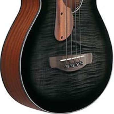 Ibanez AEGB25E Acoustic-Electric Bass Transparent Black Burst High Gloss image 3