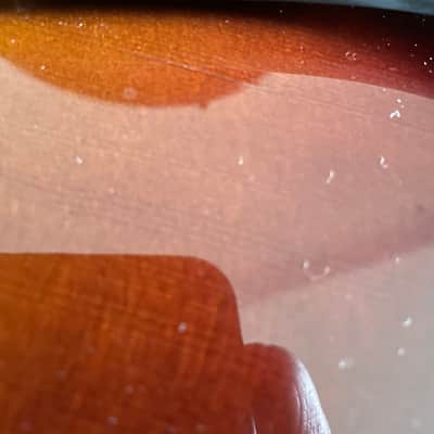 Benedetto Bravo Deluxe 2015 - Opulent brown image 13