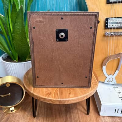 1985 Realistic Minimus-0.5 (Astro) 4" Guitar Cabinet • 8Ω • 10W image 4