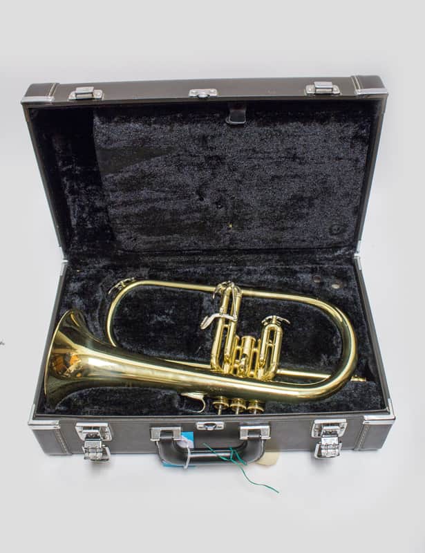 Yamaha YFH-6310Z Professional Bb Flugelhorn image 1