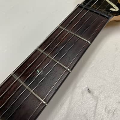 Brian Moore C-55P 1997 Namm Show - Striped Ebony image 6