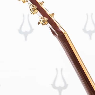 Daion Year Series '82 Six String Acoustic image 15