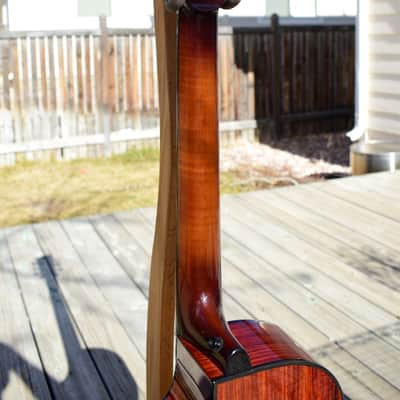 2018 TreeHouse OMZ Cutaway Acoustic Guitar | Cocobolo & Adirondack Spruce image 9
