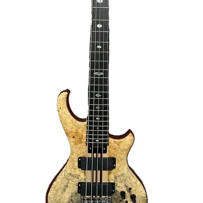 🔥 Alembic Mark King Signature 5-String Bass 2024 – NEW – Buckeye Burl – USA Custom image 4