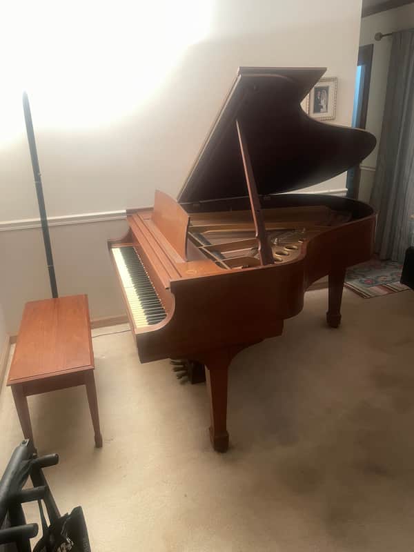 1968 Steinway Model M grand piano, 5'-7" - Walnut satin