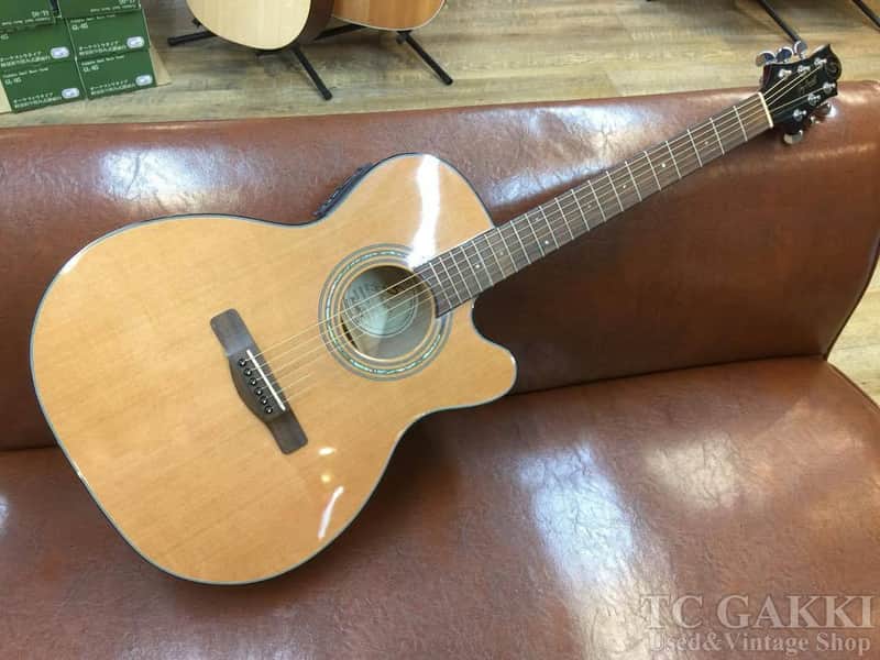 Greg Bennett OM 13CE | Reverb