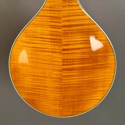 Bourgeois M5A Mandolin - Natural image 13