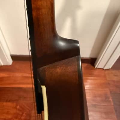 Eastman MDO305 image 4