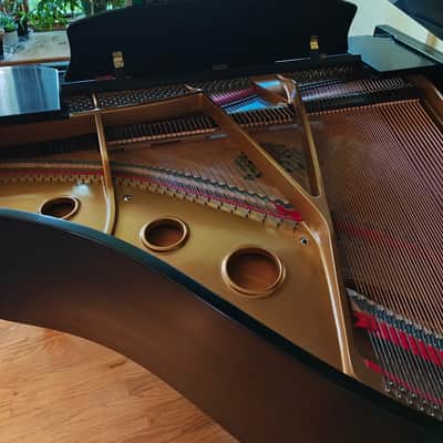 Wurlitzer C153 mid 1980's - Ebony With Pedals and Bench image 10
