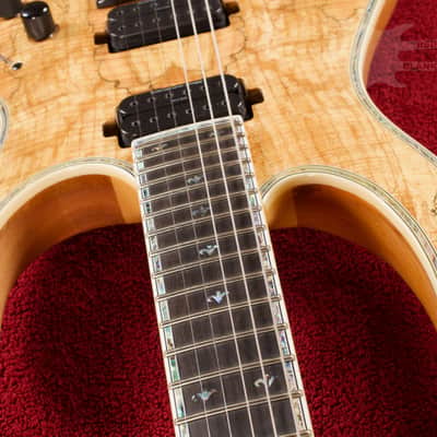 B.C. Rich Shredzilla Prophecy Archtop with Evertune Spalted Maple image 8