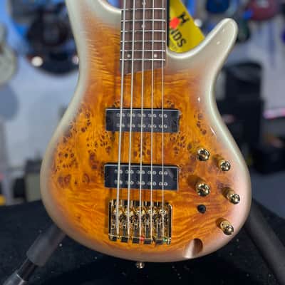 Ibanez SR Standard 5-string Electric Bass - Mars Gold Metallic Burst  Authorized Dealer! 103 FREE PLEK! image 2