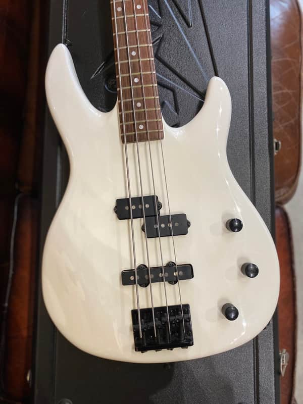 1980's Peavey USA Dyna Bass Neck Thru Design Unity Series White w/Original Case, Tags. COM image 1