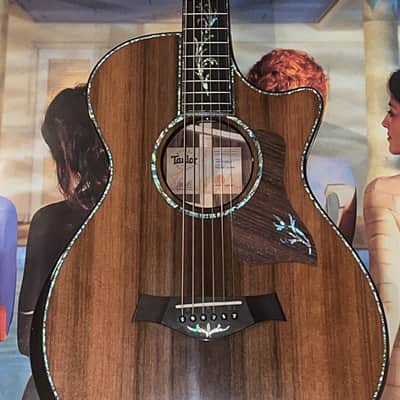Taylor Presentation Series Grand Concert image 1