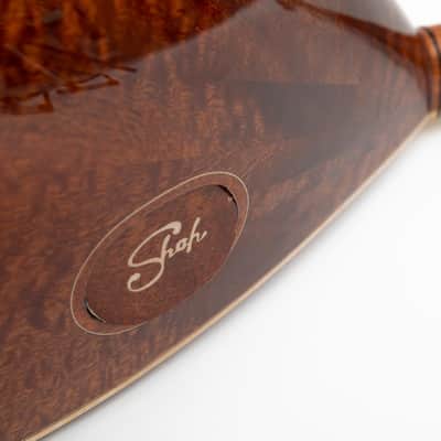 Long Neck Saz Rare Pamela wood & mother of pearl design, Professional Instrument image 11