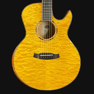 Tanglewood TWX6CESMF Winterleaf Exotic Venetian Cutaway, Quilted Natural image 1