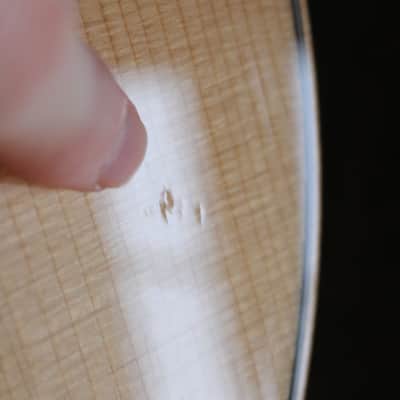 Taylor 414ce Studio 2025 - Natural Finish image 16