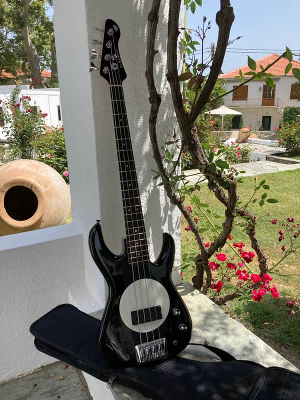 Fleabass The Wild One Model 30 Flea Bass Black / White image 1