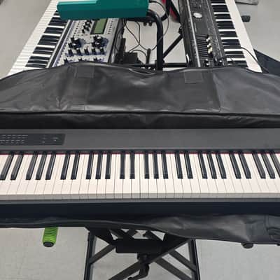 Korg D1 Slimline 88-Key Digital Stage Piano with SEQUENZ SC-D1 Gigbag image 6