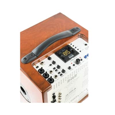 Elite Acoustics EAE ToneWeaver 4-8 Rechargeable 120 Watt 8” Acoustic Amp with 4 Channel Digital Mixer/LFP Battery/Bluetooth - Wood image 11