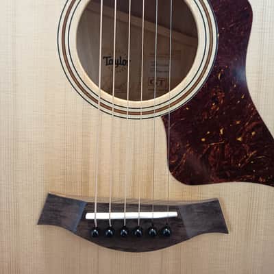 Taylor GT Urban Ash image 6